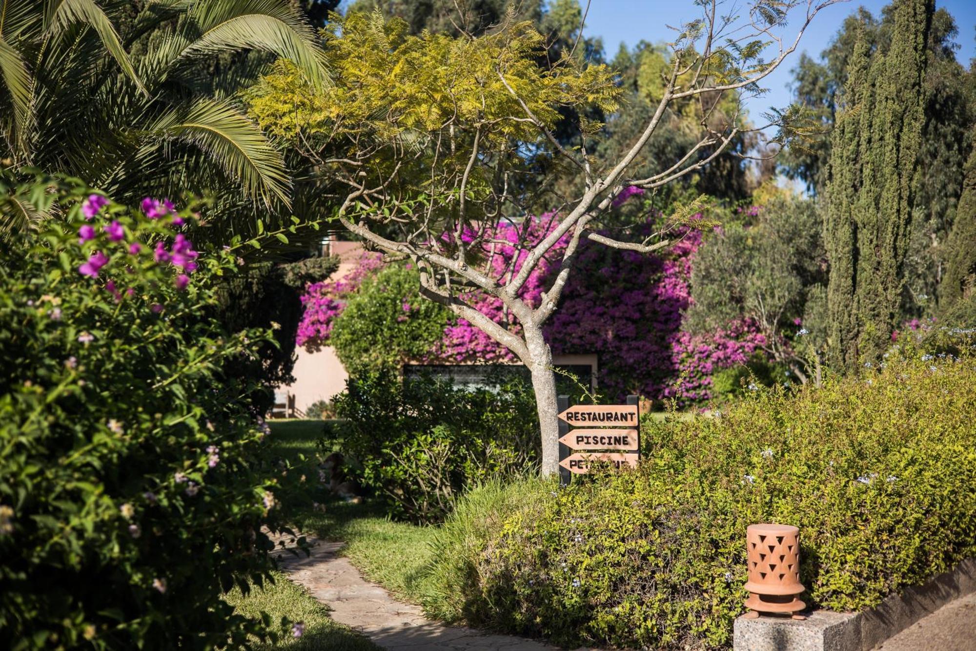 Dar Maktoub Bed & Breakfast Agadir Exterior photo
